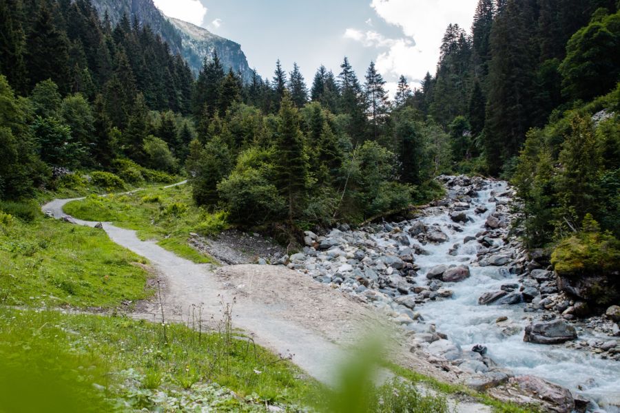 Enzianhuette Und Hauserhof 83