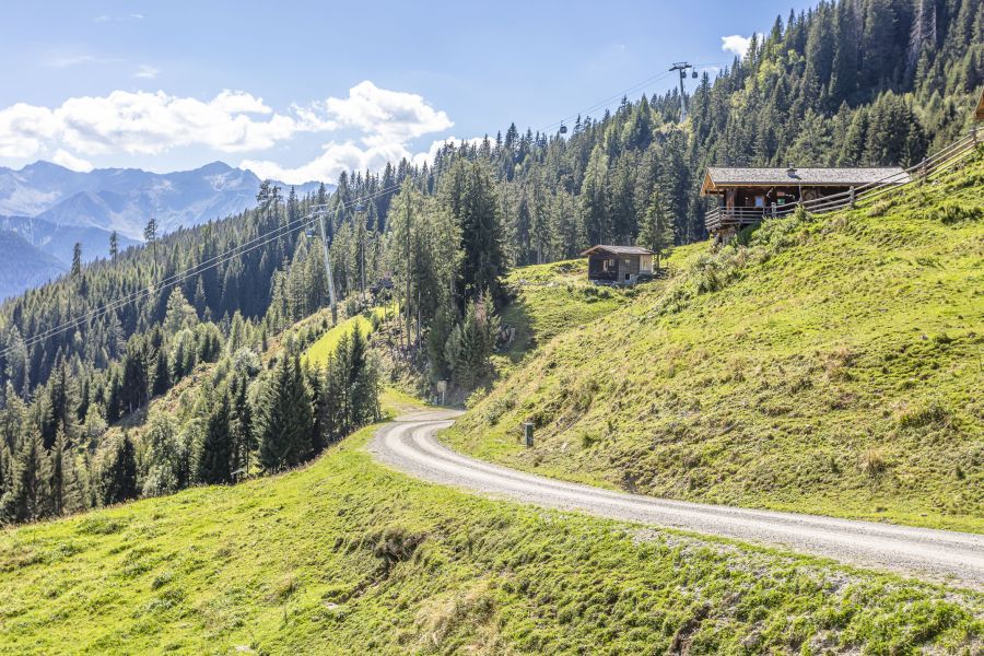 Sonnenhuette Bramberg Almenurlaub 33